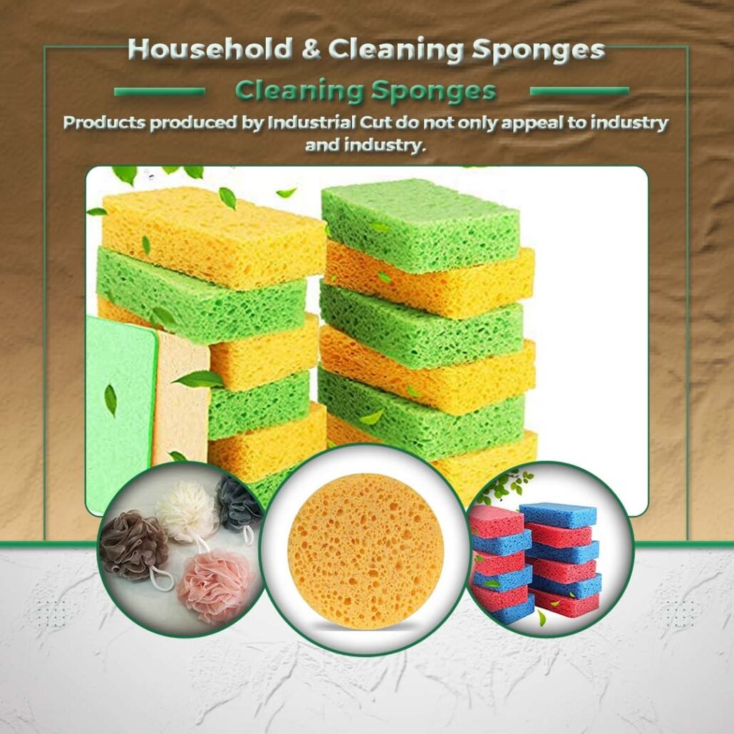 Household & Cleaning Sponges